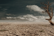 Quinto informe de evaluación de cambio climático mundial